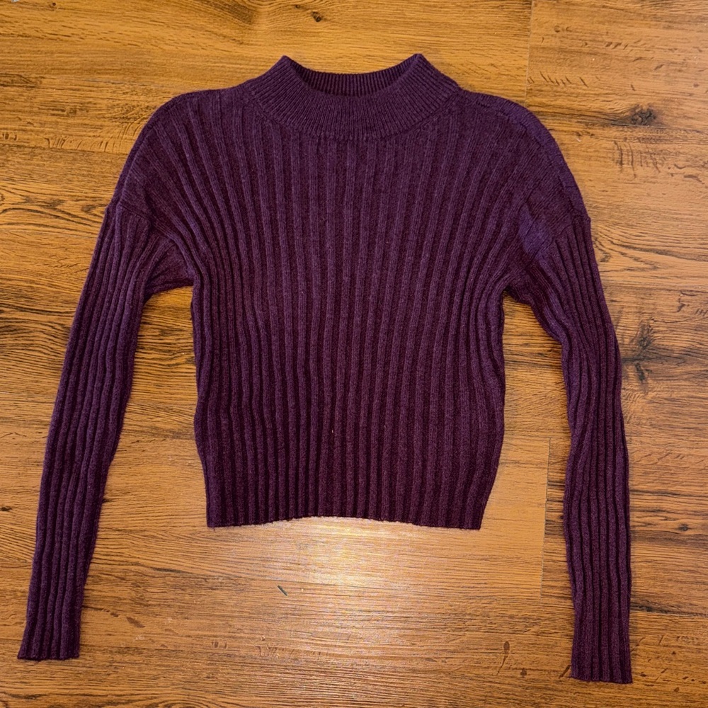 Madewell Deep Purple/Burgundy Ribbed Turtleneck Sweater
